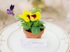 ameliajohnsonphotography002