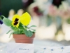 ameliajohnsonphotography008