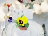 ameliajohnsonphotography009