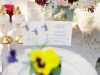 ameliajohnsonphotography010