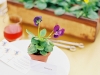 ameliajohnsonphotography019