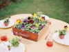 ameliajohnsonphotography027