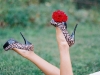 diyflorals-jmflora-dahlias005