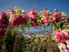 amyandstuartphotography_munaluchibridal055