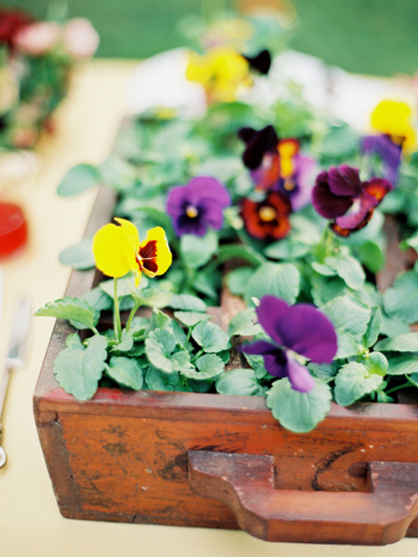 Pretty Pansy Garden Party Ameliajohnsonphotography020