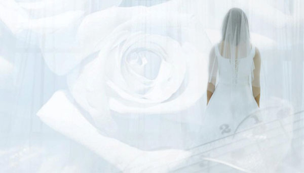 Divine Elegance by Deirdre Munaluchi Coterie Divine Elegance Llc0011