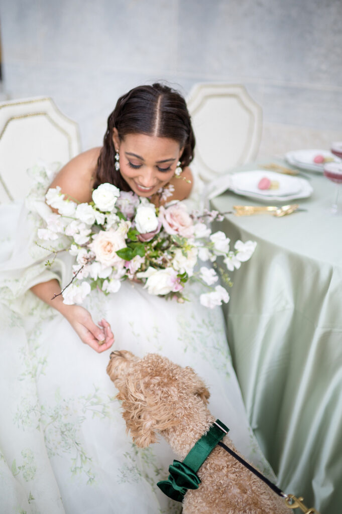 Renaissance Micro Wedding features a cute pup