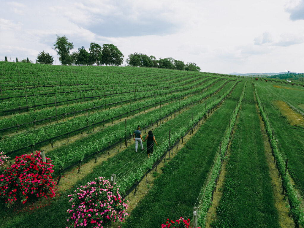 This beautiful Stone Tower Winery in Virginia played host to this incredible outdoor vineyard engagement session in Virginia.